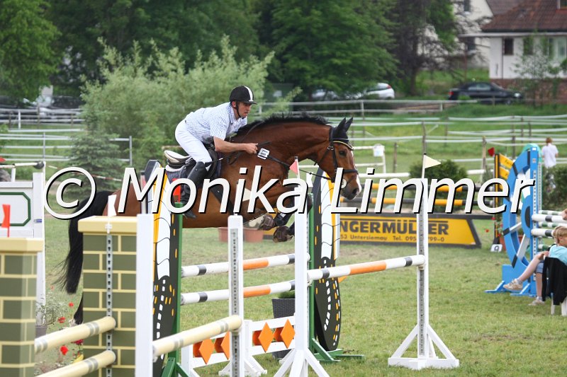 105M2554_Cool Casys_Spring_L.JPG